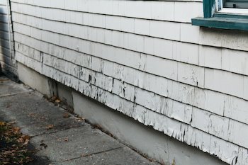 [shingles-kalynskitchen.jpg]