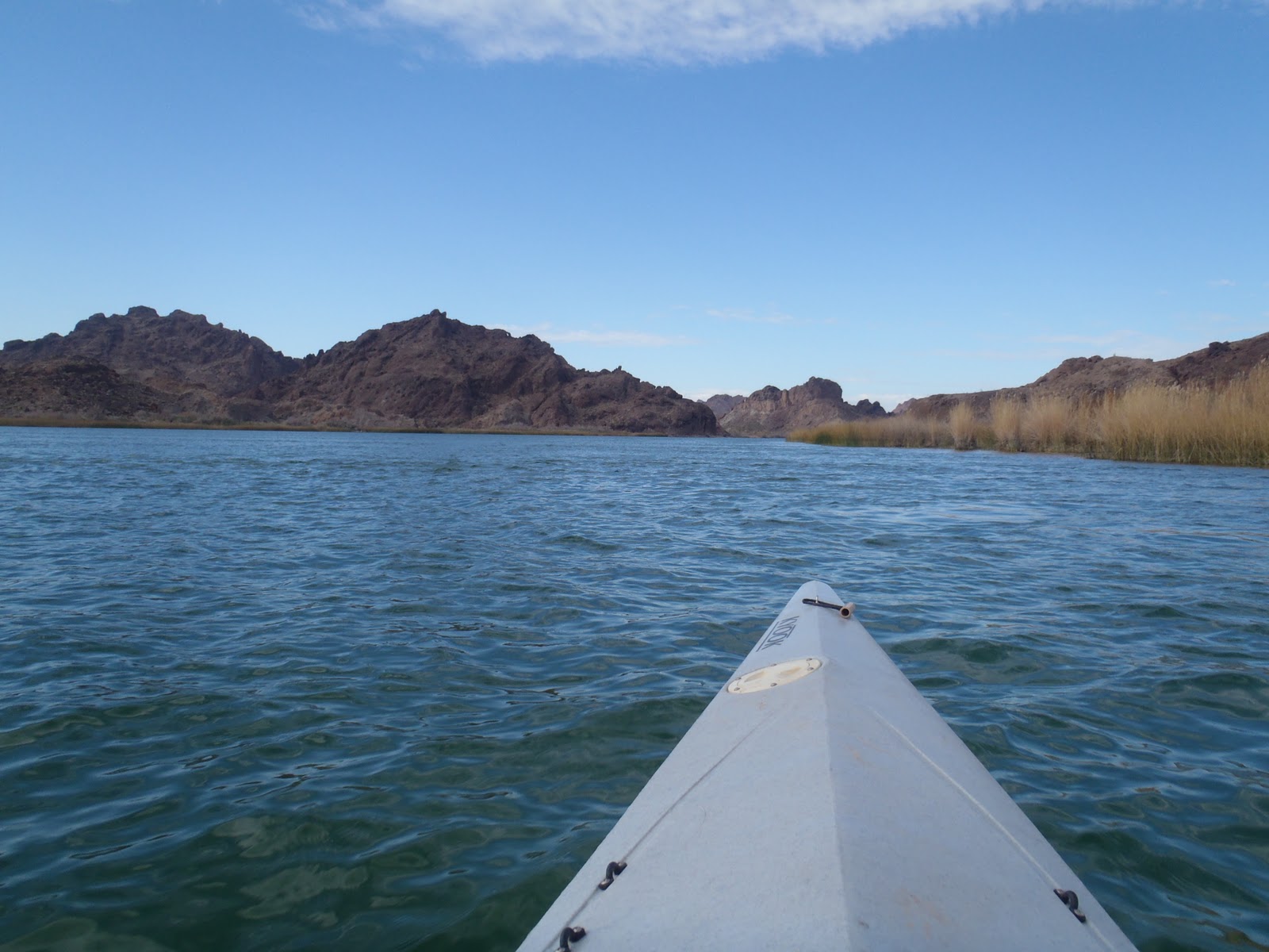 The Pursuit of Life Kayaking the Topock on the Colorado River