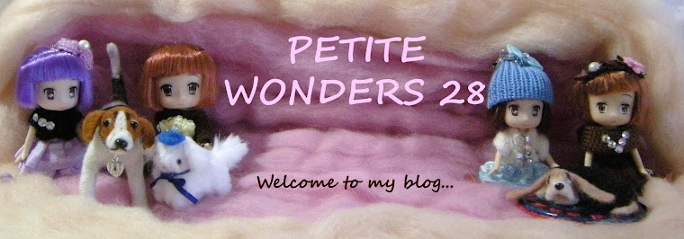 Petite Wonders 28