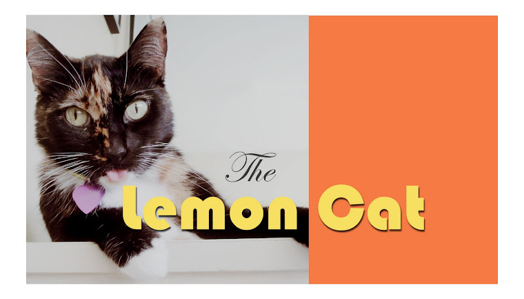 The Lemon Cat