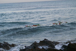 Rose in mare