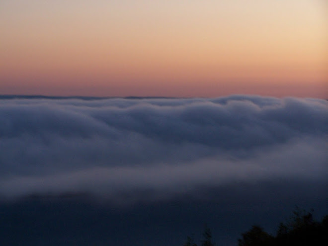 Morning fog over Lake