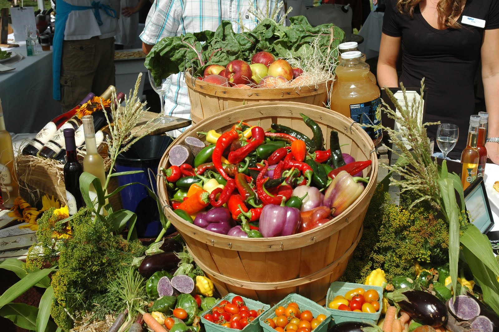 Wine Rack Grape Vine Feast of Fields