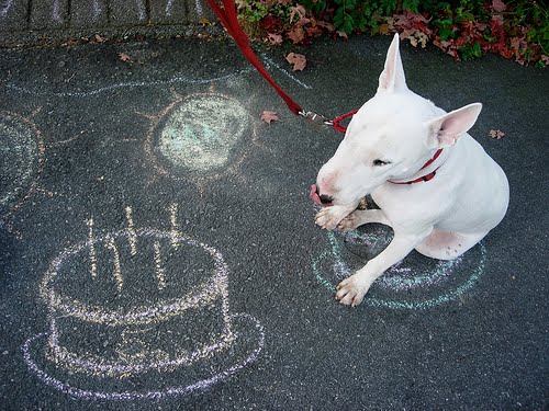 Cheesy Quotes, Romantic Pictures, I Love You Poems: Happy Birthday!