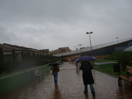 Bendita lluvia