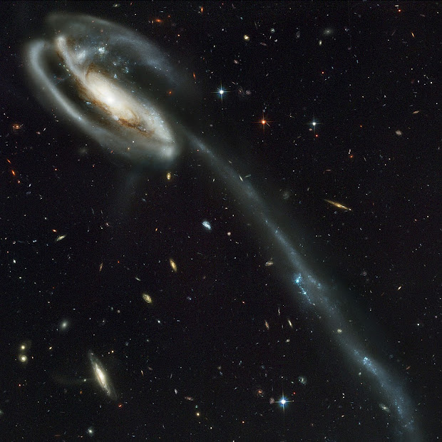 The long tail of Stars of UGC 10214 as pictured by Hubble!
