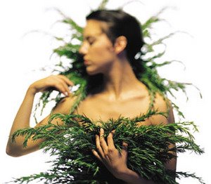 [cildiniz+parlasın.jpg]