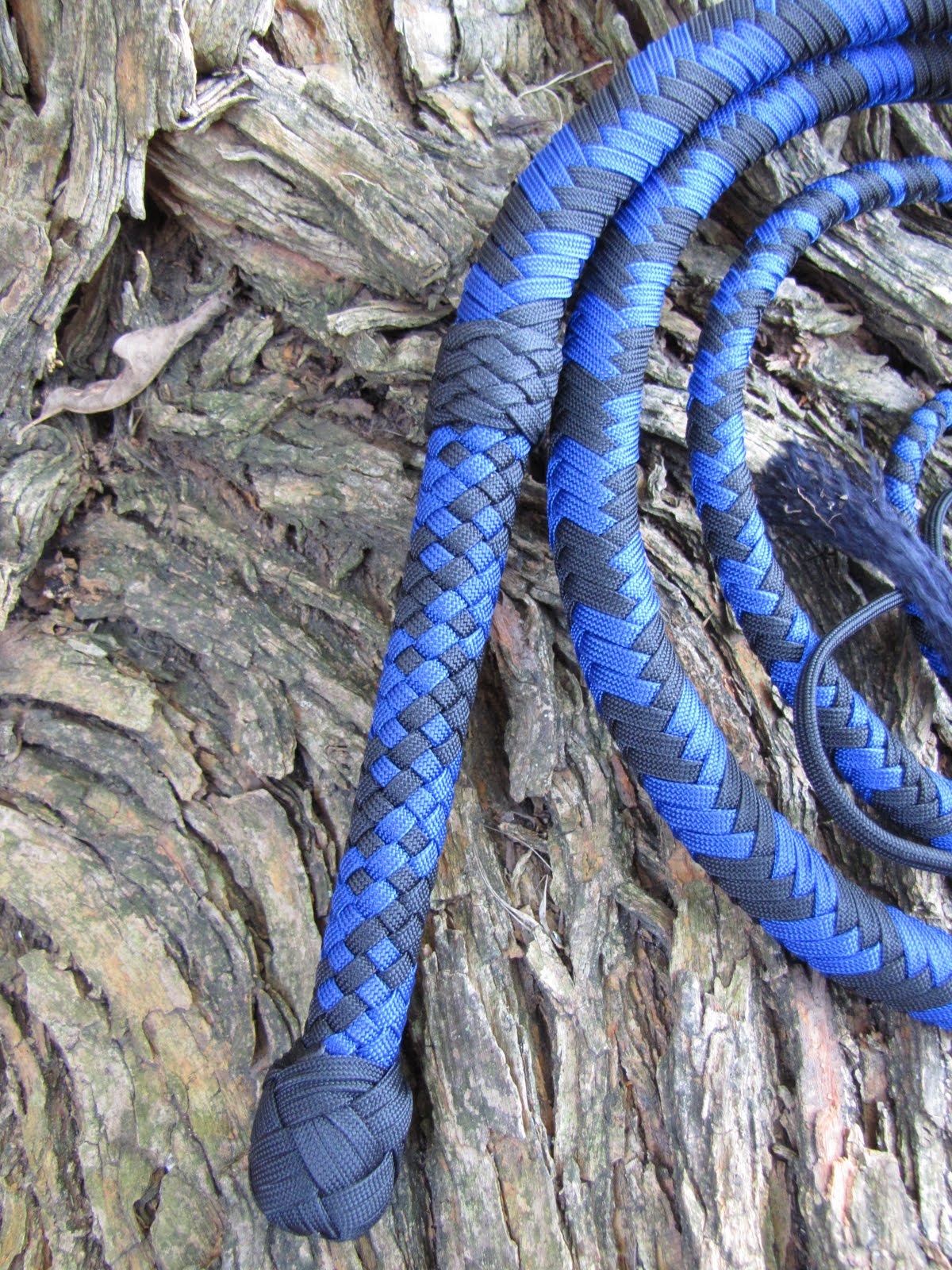 happy-cracking-ryan-s-nylon-whip-blog-bullwhip-pictures
