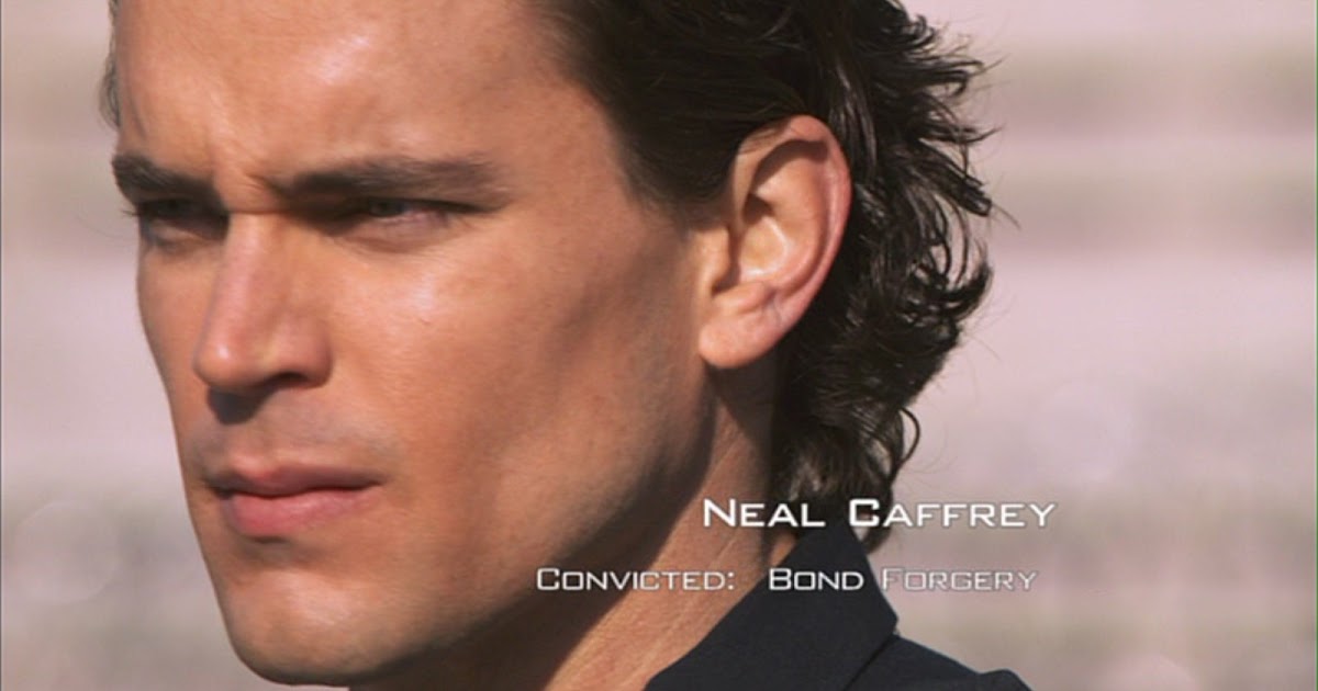 Neal Caffrey, Government Official