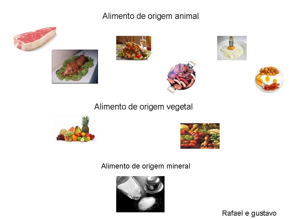 Colégio Sinodal Barão do Rio Branco Trabalhos da turma 31 Alimentos de origem animal, vegetal
