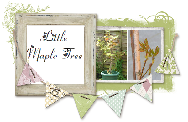 Little Maple Tree