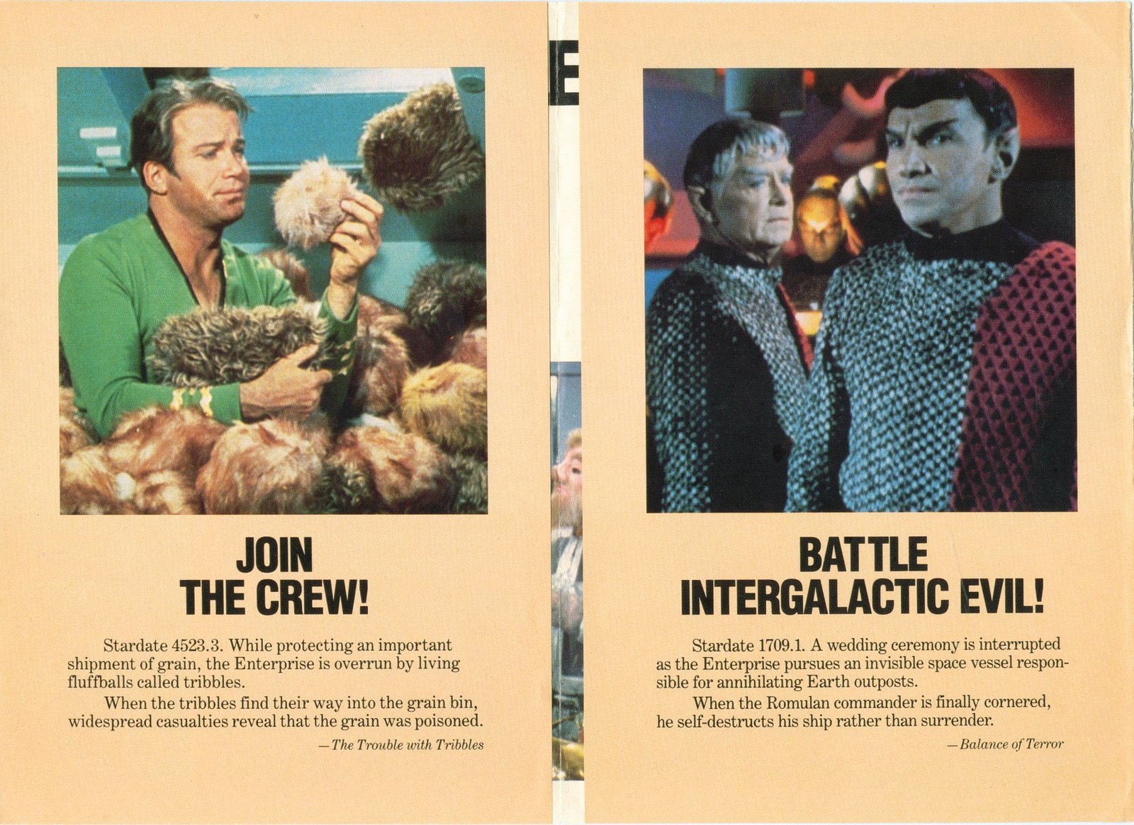 [vhs_brochure_02.jpg]