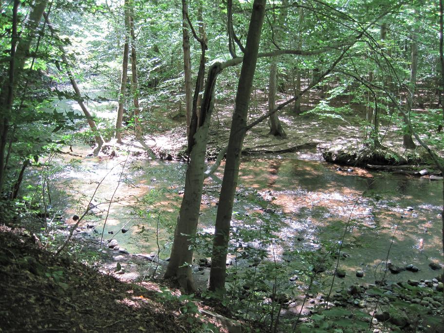 Anne's Creative Cornucopia Lake Mohegan Cascades