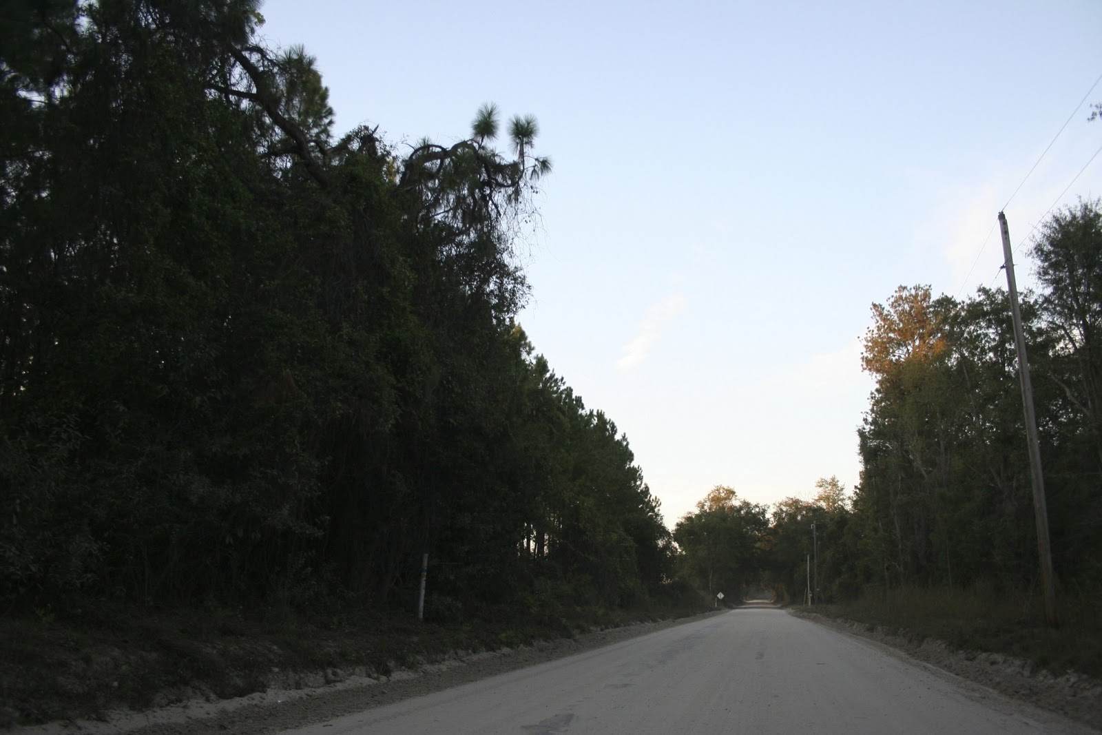 old wire road The Day Before Thanksgiving 2010, One Day Late