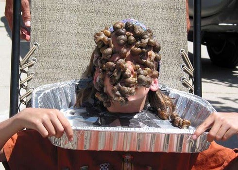 [0,,22524972-FMM,00.jpg]