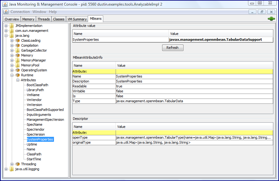 [jconsoleSystemPropertiesBeforeExpansion.png]