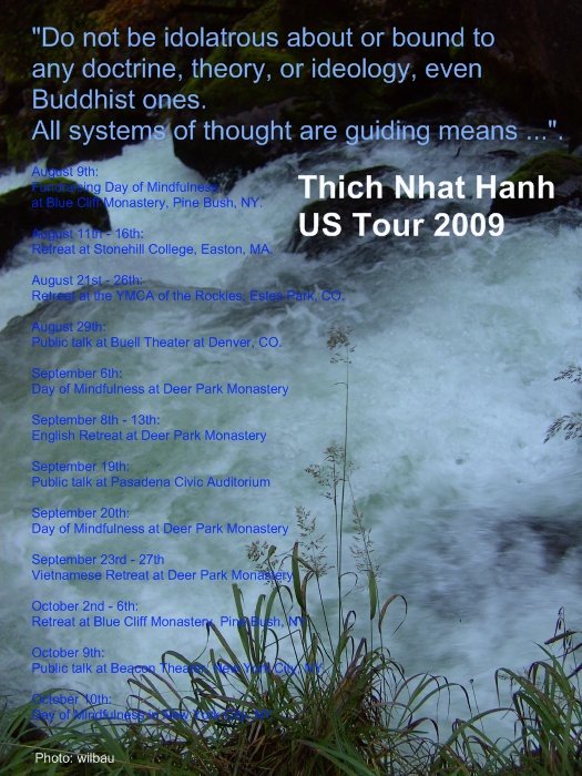 [Thich+Nhat+Hanh+US+2009+peace+activism.jpg]