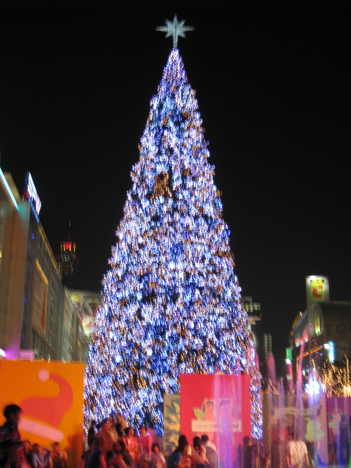 [IMG_0012.JPG]