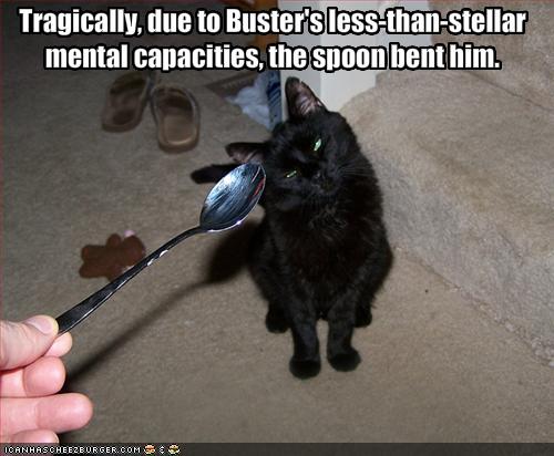[funny-pictures-matrix-cat-is-bent-by-spoon.jpg]