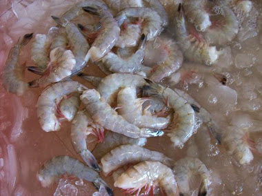 Beautiful, Fresh white shrimp tails.