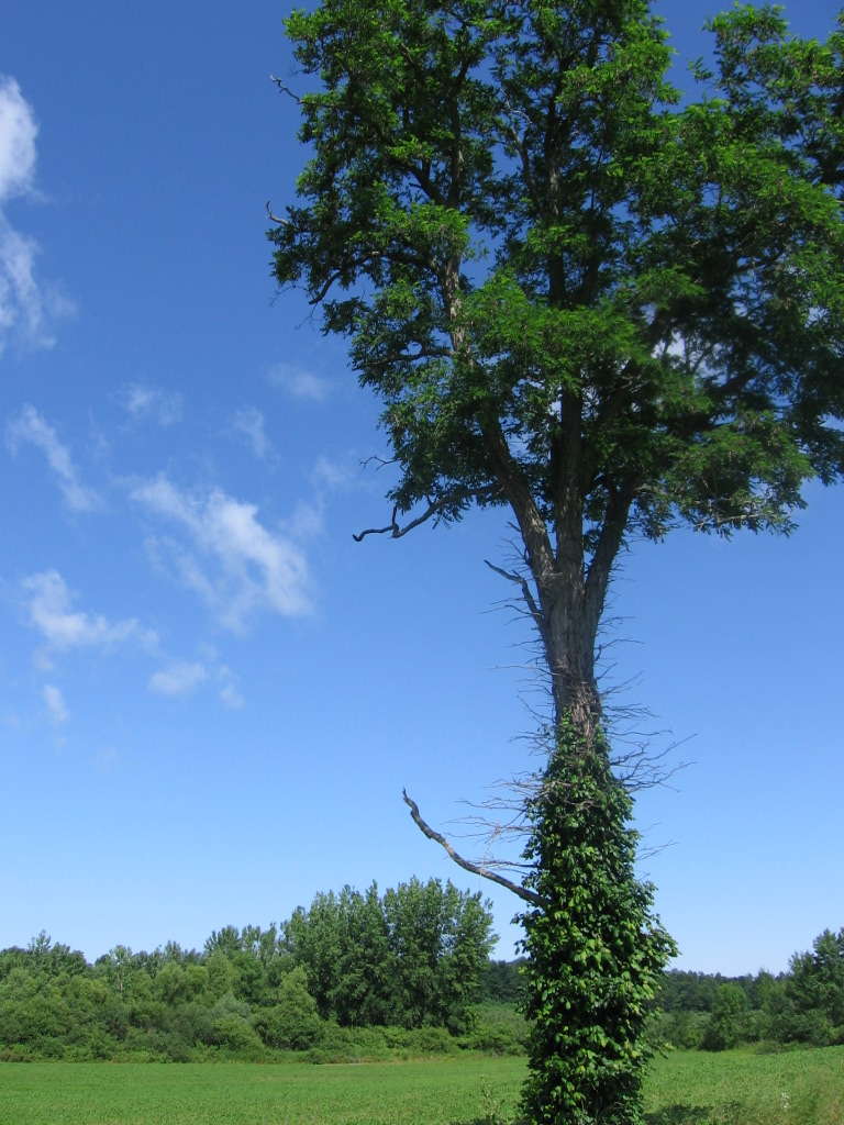 [IMG_0794.JPG]