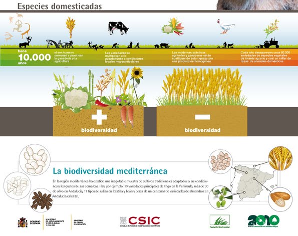 Grupos De Consumo Agroecol gico Mayo 2010 grupos-de-consumo-agroecol-gico-mayo-2010