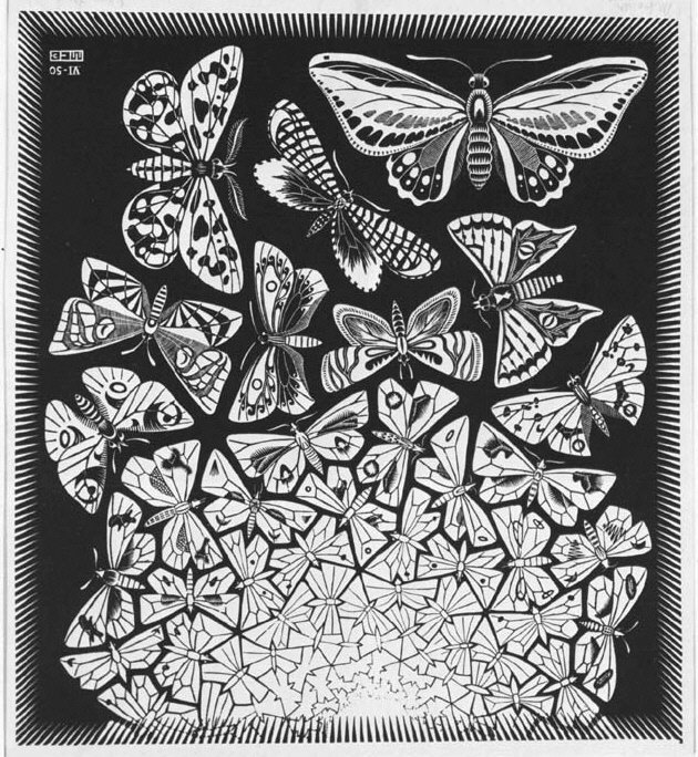 [3_Escher_Schmetterlinge.jpg]