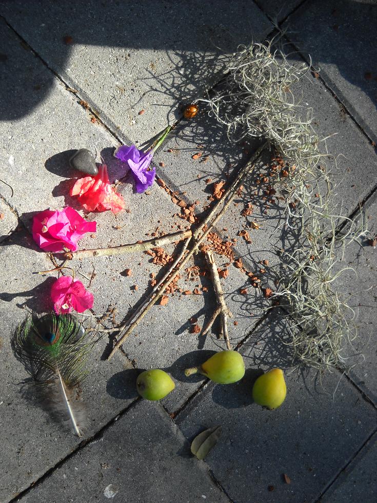 Snip and Snail New Traditions Earth Day Nature Devotionals