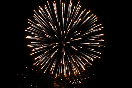 [celebration+fireworks.jpg]