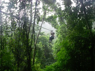 [cruise+zipline.jpg]