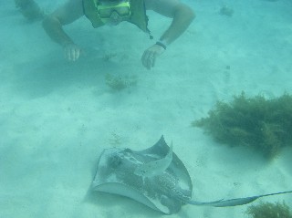 [cruise+snorkle3.jpg]
