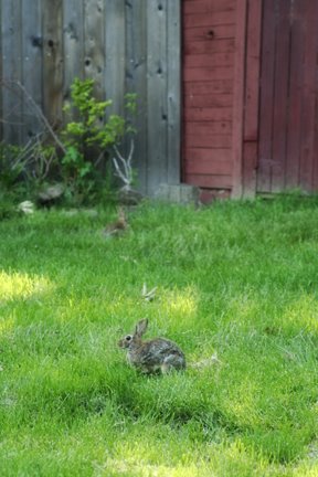 [May272008_0031copysmall.jpg]