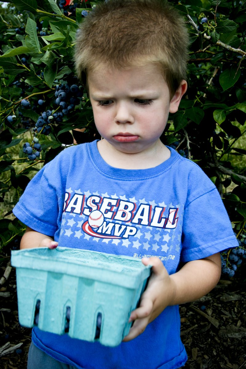 [blueberries-9.jpg]