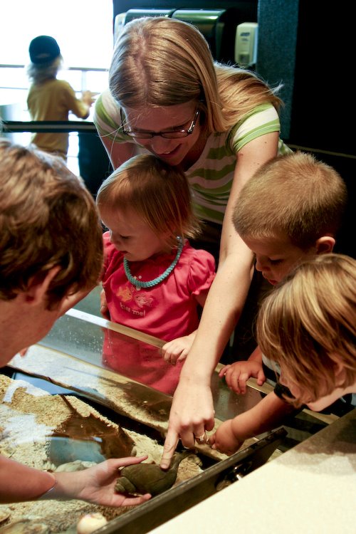 [08Jul28_Aquarium-17.jpg]