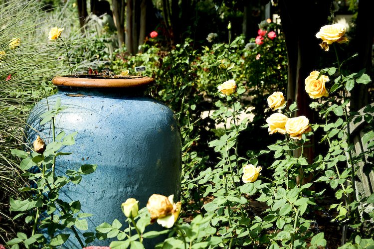 [08Sep17_Brookside_380.jpg]