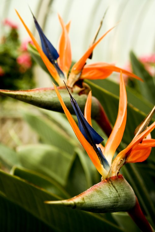 [08Sep17_Brookside_188.jpg]