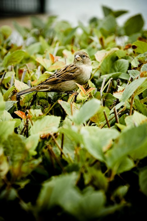 [08Sep19_Riowalk_29.jpg]