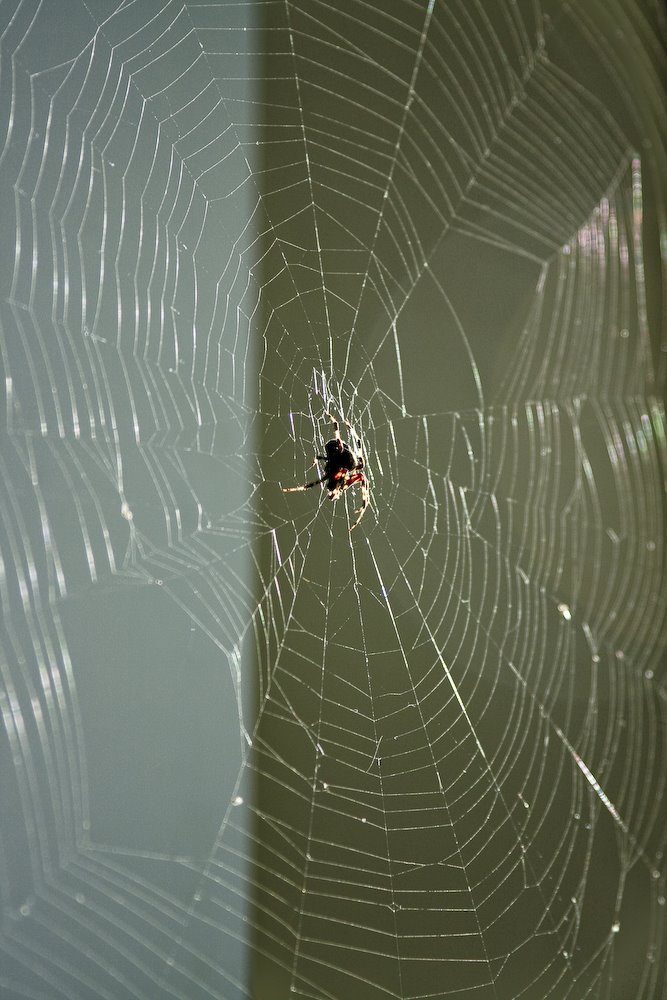 [08Oct14_Lexiwalk_2.jpg]