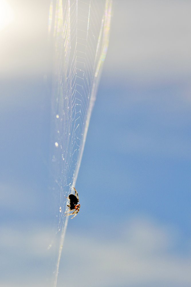 [08Oct14_Lexiwalk_6.jpg]