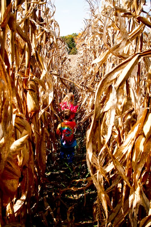 [08Oct17_mtnside_97.jpg]