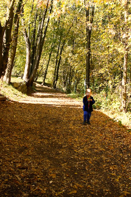 [08Oct17_mtnside_51.jpg]