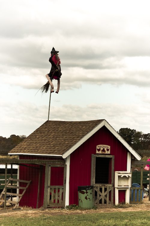 [08Oct29_Homestead_74.jpg]