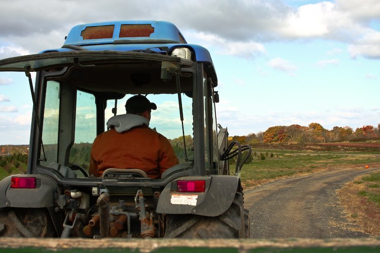 [08Oct29_Homestead_37.jpg]