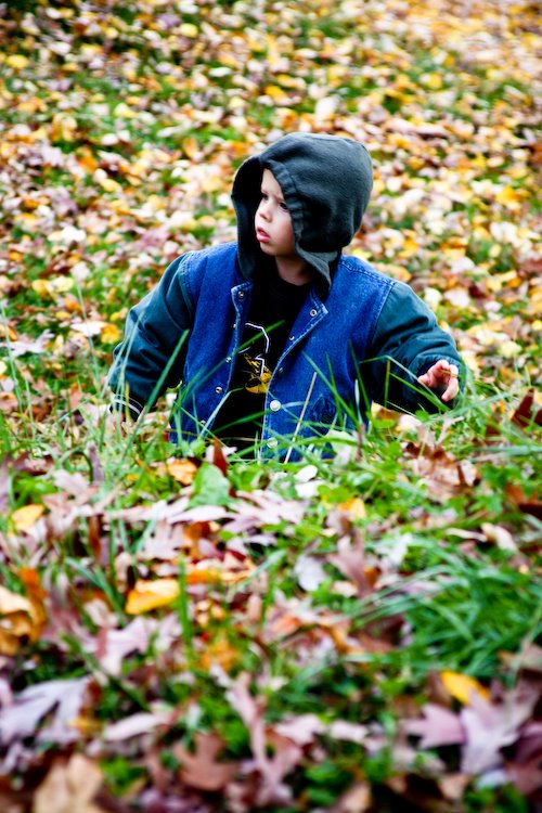 [08Nov11_leaves_23.jpg]