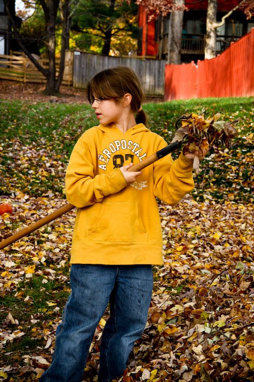 [08Nov11_leaves_20.jpg]