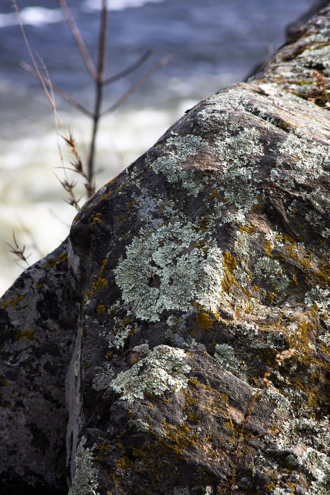 [08Nov21_GreatFalls_17.jpg]