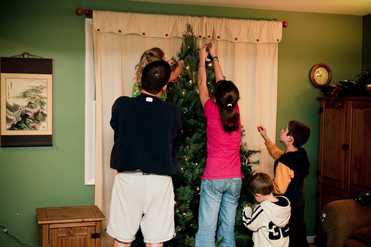 [08Dec01_Tree_19.jpg]