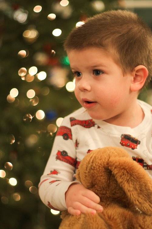 [09Jan02_bokeh_11.jpg]