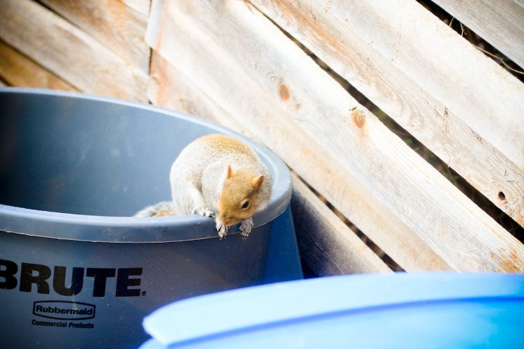 [08Dec23_cocoa_4.jpg]