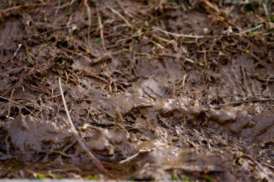 [09Mar06_park_22.jpg]